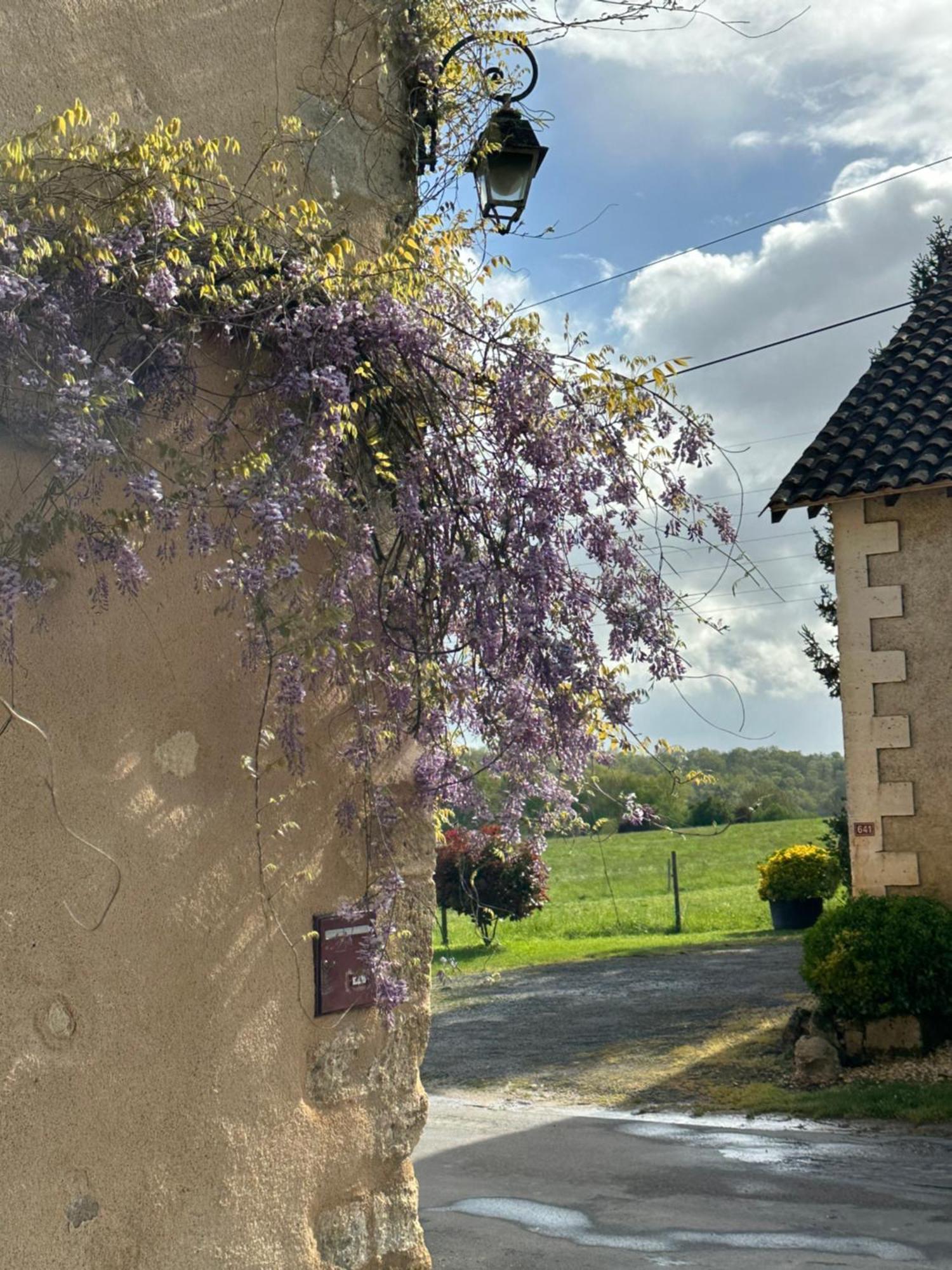 Le Chatenet 1689 Brantôme Eksteriør billede